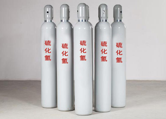 880L硫化氢